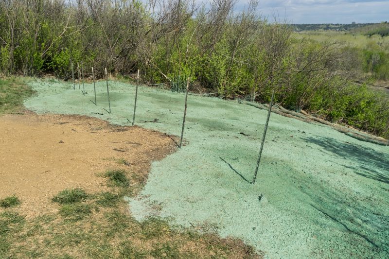 Spring Erosion Control