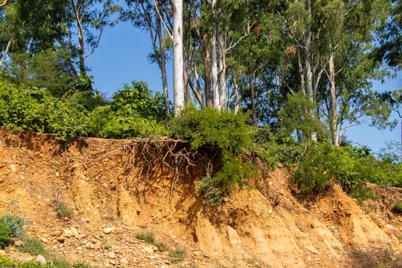 Erosion Control Post-Construction