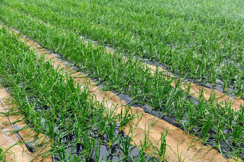 Vegetation Establishment