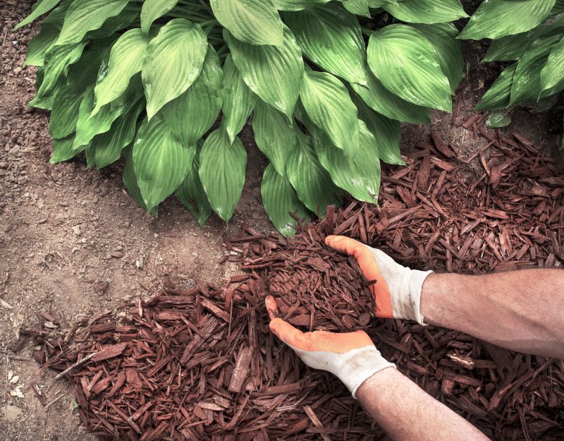 Mulching Leaves