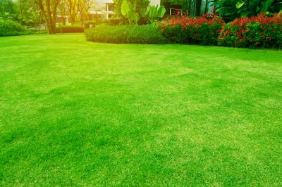 Lush Green Lawns and Gardens