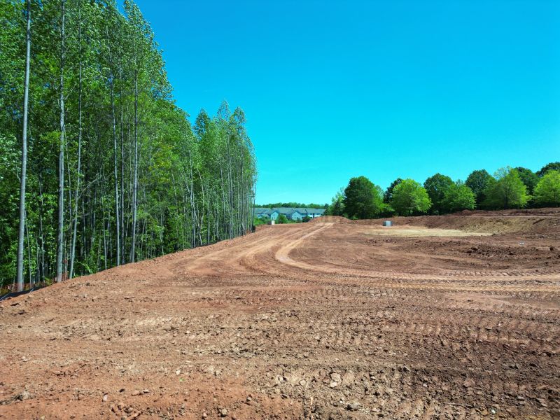 Site Preparation and Planting